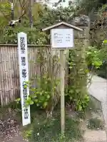 明月院(神奈川県)