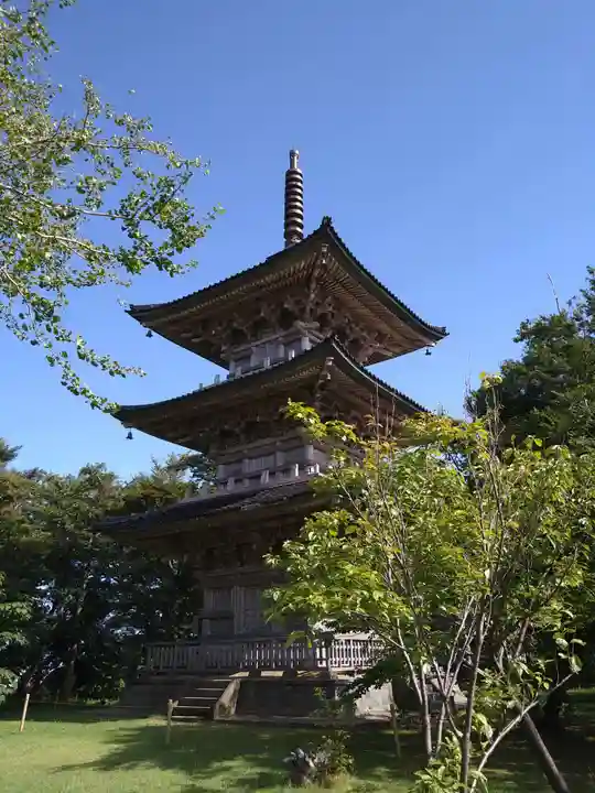 国分寺のその他建物