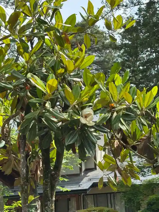 上杉神社(山形県)