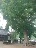 安國御名方神社(長野県)