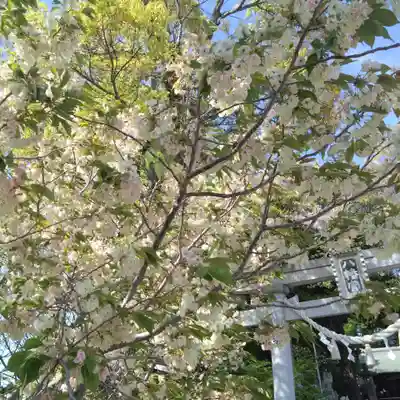 上地八幡宮(愛知県)