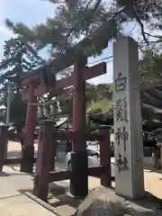 白鬚神社の鳥居