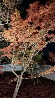 妙覺寺（妙覚寺）(京都府)