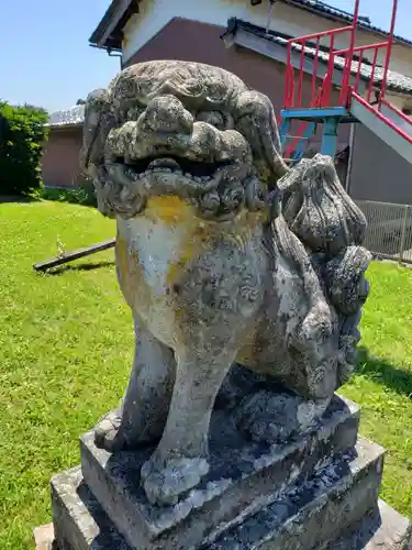 今市神社の狛犬