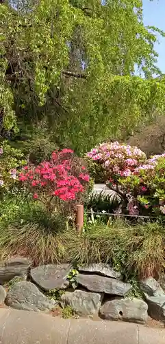 櫻木神社の自然