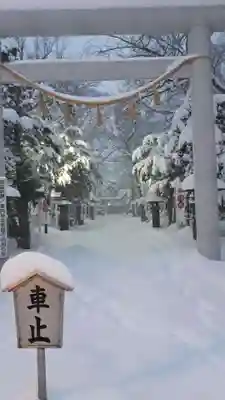 新琴似神社の鳥居