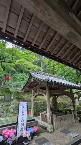 長谷寺(奈良県)