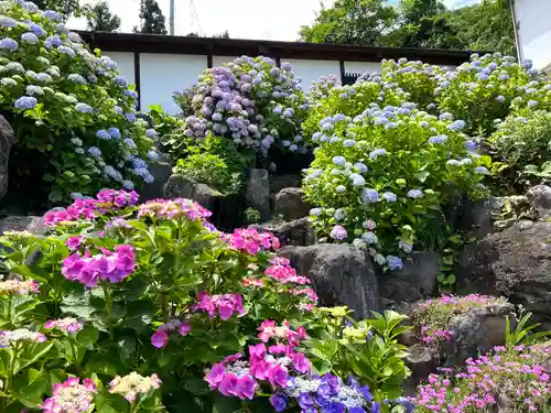 大雲寺(長野県)