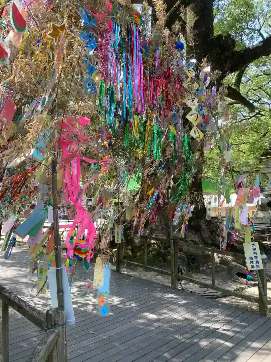 太宰府天満宮(福岡県)