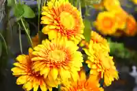 三津厳島神社の手水舎