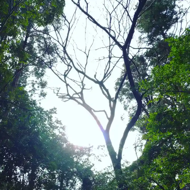 戸隠神社の自然