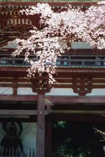 醍醐寺の山門・神門