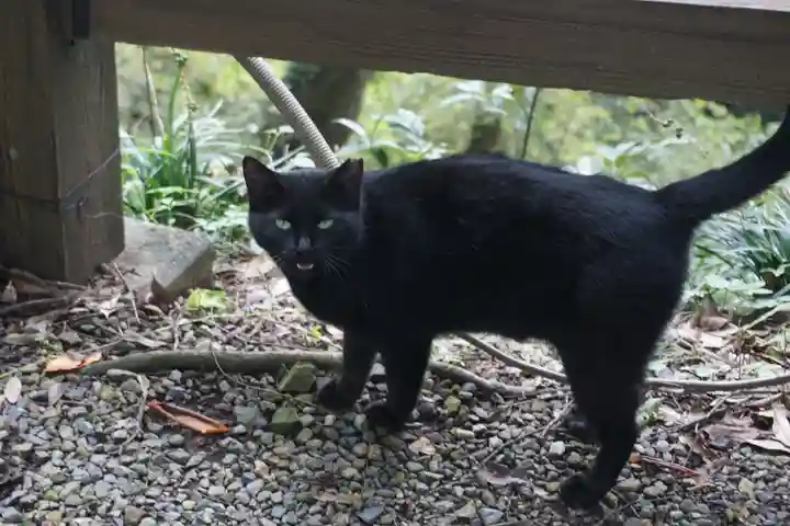 唐澤山神社の動物