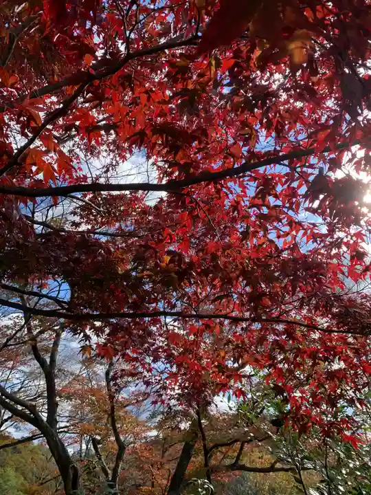 犬山寂光院(愛知県)