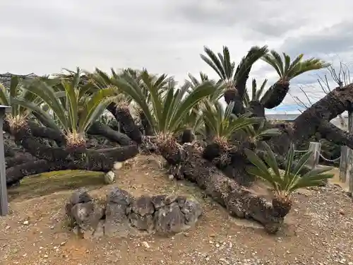 龍華寺(静岡県)