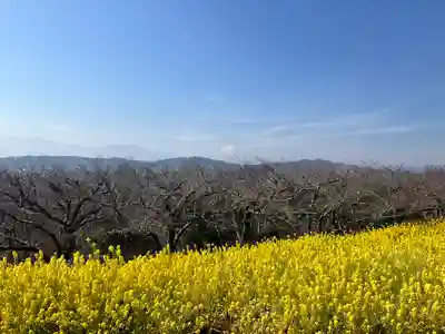 浅間神社(神奈川県)