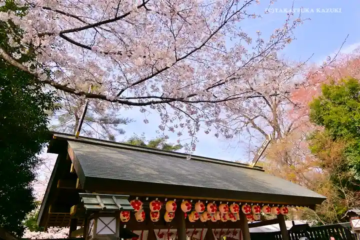 櫻木神社の山門・神門