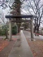 林神社(埼玉県)