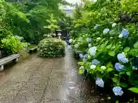 資福寺の{uncategorized: "未分類", other: "その他", undefined: "問題あり", building: "その他建物", grave: "お墓", sacred_gate: "鳥居", guardian: "狛犬", statue: "像", buddha: "仏像", history: "歴史", nature: "自然", garden: "庭園", animal: "動物", pagoda: "塔", temizu: "手水舎", mountain_gate: "山門・神門", sanctuary: "本殿・本堂", subordinate: "末社・摂社", art: "芸術", scenery: "景色", jizo: "地蔵", ema: "絵馬", goshuin: "御朱印", omikuji: "おみくじ", items: "授与品その他", amulet: "お守り", goshuincho: "御朱印帳", eats: "食事", festival: "お祭り", votive_dance: "神楽", shichigosan: "七五三参", wedding: "結婚式", experience: "体験その他", initially: "初詣", around: "周辺", anti_infection: "感染症対策"}