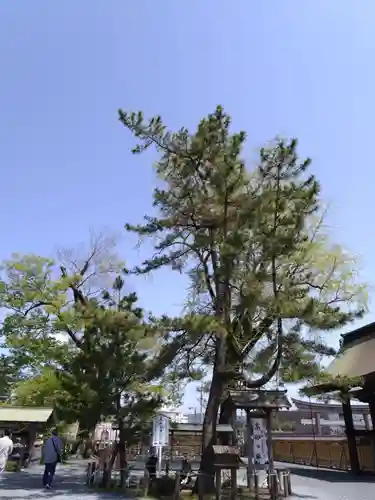 阿蘇神社(熊本県)