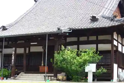 圓福寺の本殿・本堂