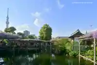 亀戸天神社の庭園