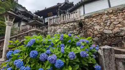柳谷観音　楊谷寺(京都府)