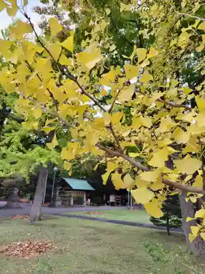 厚別神社(北海道)