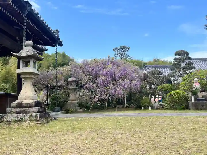 子安地蔵寺の{uncategorized: "未分類", other: "その他", undefined: "問題あり", building: "その他建物", grave: "お墓", sacred_gate: "鳥居", guardian: "狛犬", statue: "像", buddha: "仏像", history: "歴史", nature: "自然", garden: "庭園", animal: "動物", pagoda: "塔", temizu: "手水舎", mountain_gate: "山門・神門", sanctuary: "本殿・本堂", subordinate: "末社・摂社", art: "芸術", scenery: "景色", jizo: "地蔵", ema: "絵馬", goshuin: "御朱印", omikuji: "おみくじ", items: "授与品その他", amulet: "お守り", goshuincho: "御朱印帳", eats: "食事", festival: "お祭り", votive_dance: "神楽", shichigosan: "七五三参", wedding: "結婚式", experience: "体験その他", initially: "初詣", around: "周辺", anti_infection: "感染症対策"}