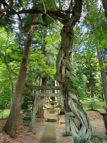 白河神社の鳥居