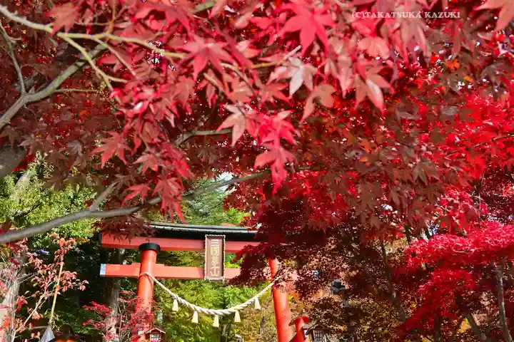 新倉富士浅間神社(山梨県)