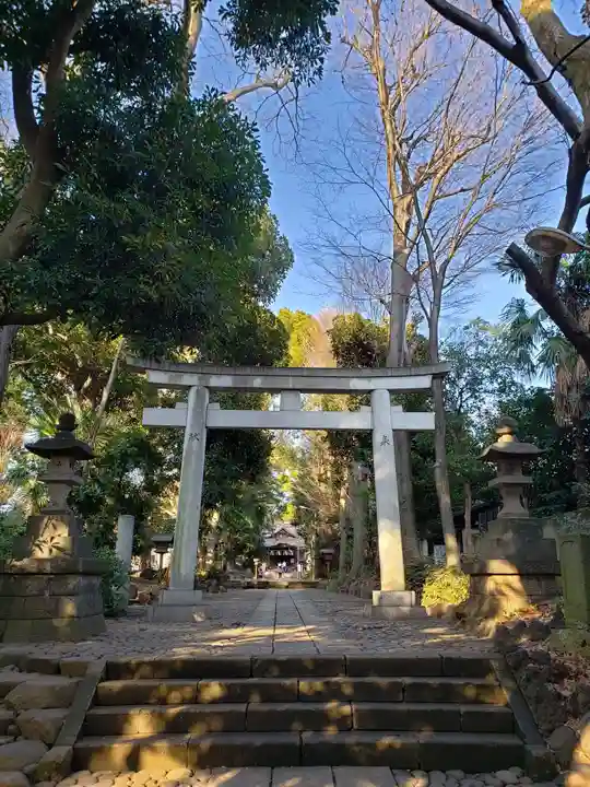 代々木八幡宮の鳥居