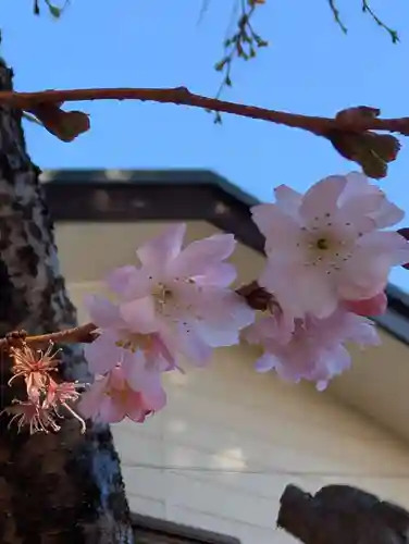 白幡八幡神社(神奈川県)
