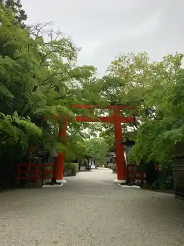 賀茂御祖神社（下鴨神社）の鳥居