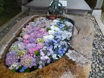 櫟野寺の手水舎