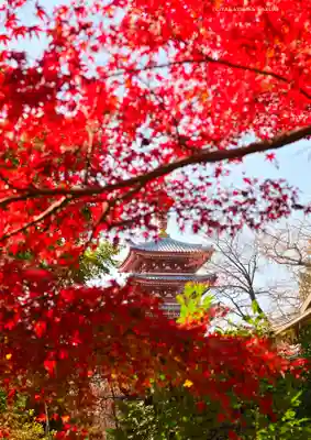 本土寺(千葉県)