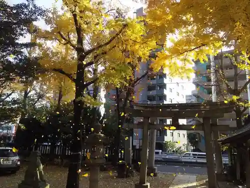 志演尊空神社の自然