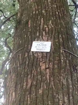 専念寺(愛知県)