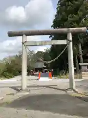 鷲宮神社の鳥居