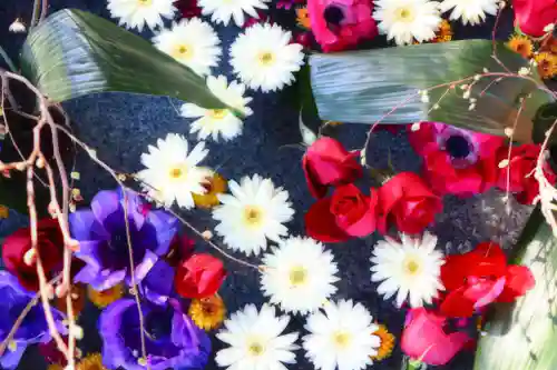 三津厳島神社の手水舎