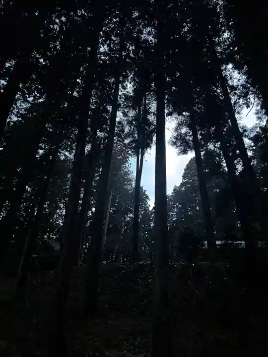 大宮温泉神社(栃木県)