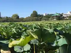 清水観音堂の庭園