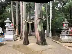 豊川閣　妙厳寺(愛知県)