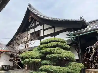 観智院（東寺子院）(京都府)