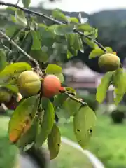 木舟山　順教寺の自然