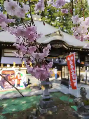 光丸山 法輪寺(栃木県)