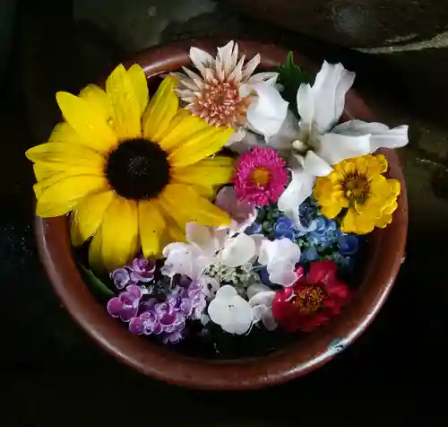 菅生神社の手水舎