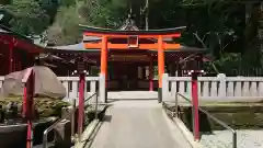 箱根神社の鳥居