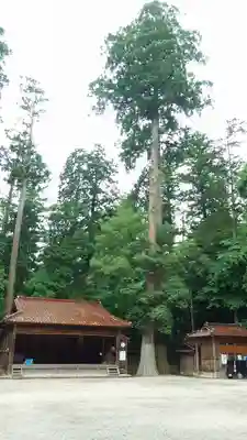 伊和神社のその他建物