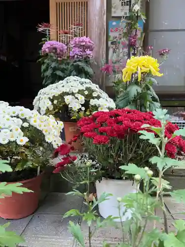 大宮温泉神社(栃木県)